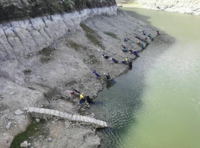 Campeonato Autonómico de Canarias de Agua dulce